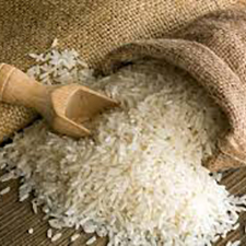 Rice